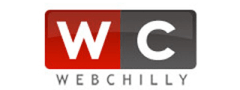 Webchilly Infoways Top Web Design & Development Company